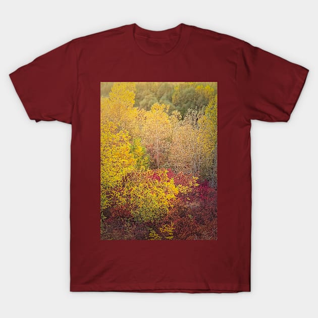 autumn trees background T-Shirt by psychoshadow